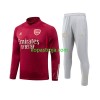 Arsenal Tränings Sweatshirtställ Röd 2023/24